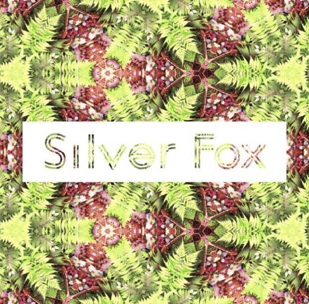 SilverFox