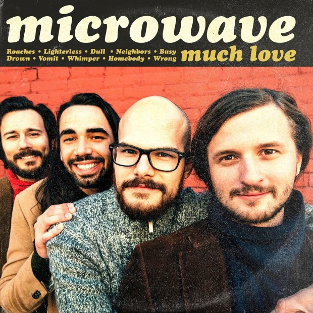 Microwave_cover
