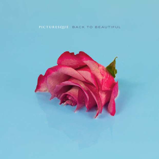 Picturesque_cover